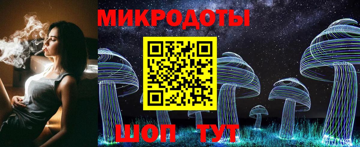 Псилоцибиновые грибы Psilocybe Отрадное